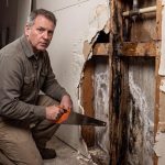 What Are the Most Common Home Inspection Deal Breakers in Tampa?